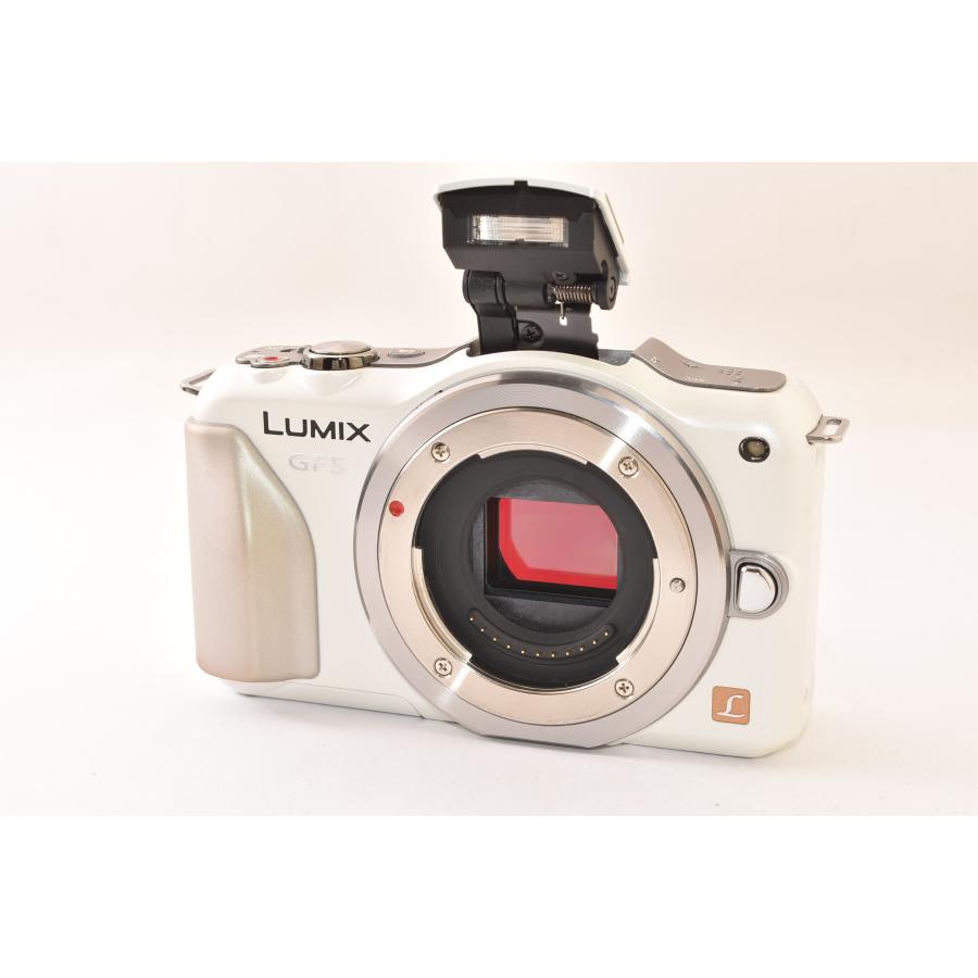 Panasonic パナソニック LUMIX DMC-GF5 ボディ シェルホワイト ミラー
