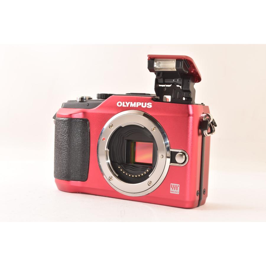 ☆訳あり品☆ OLYMPUS オリンパス PEN E-PL2 ボディ レッド ショット数