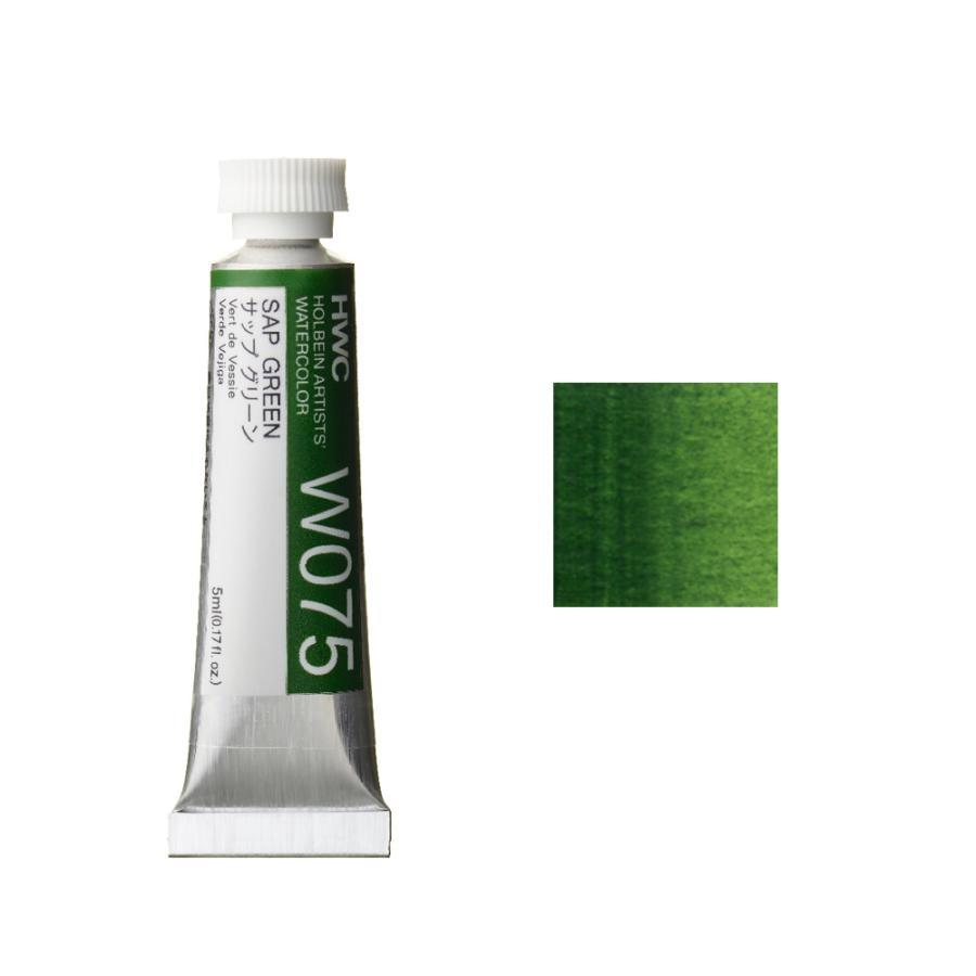 ホルベイン HWC 透明水彩絵具 2号 B 緑系 サップグリーン｜kawachigazai
