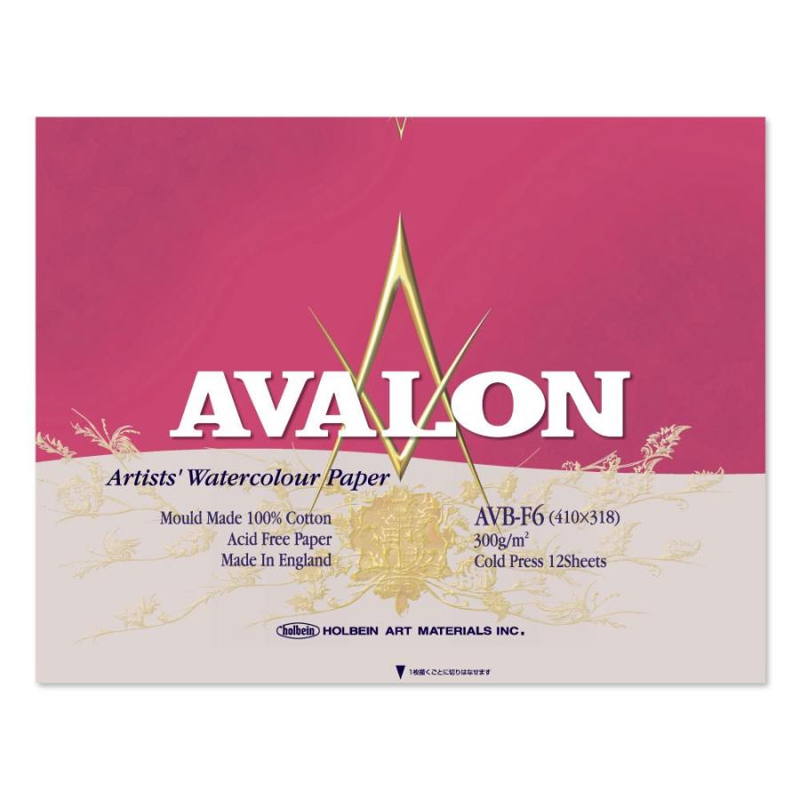 アヴァロン 水彩紙ブロック AVB-F6 : カワチ画材ヤフー店 - 通販