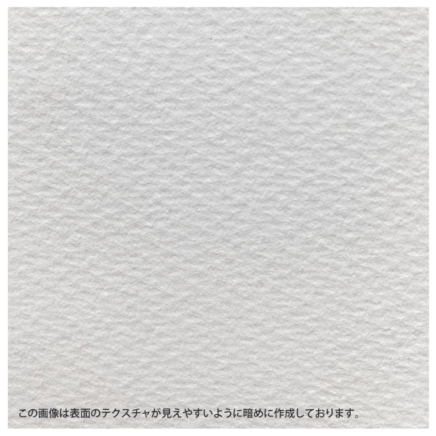 アヴァロン 水彩紙ブロック AVB-F8｜kawachigazai｜03