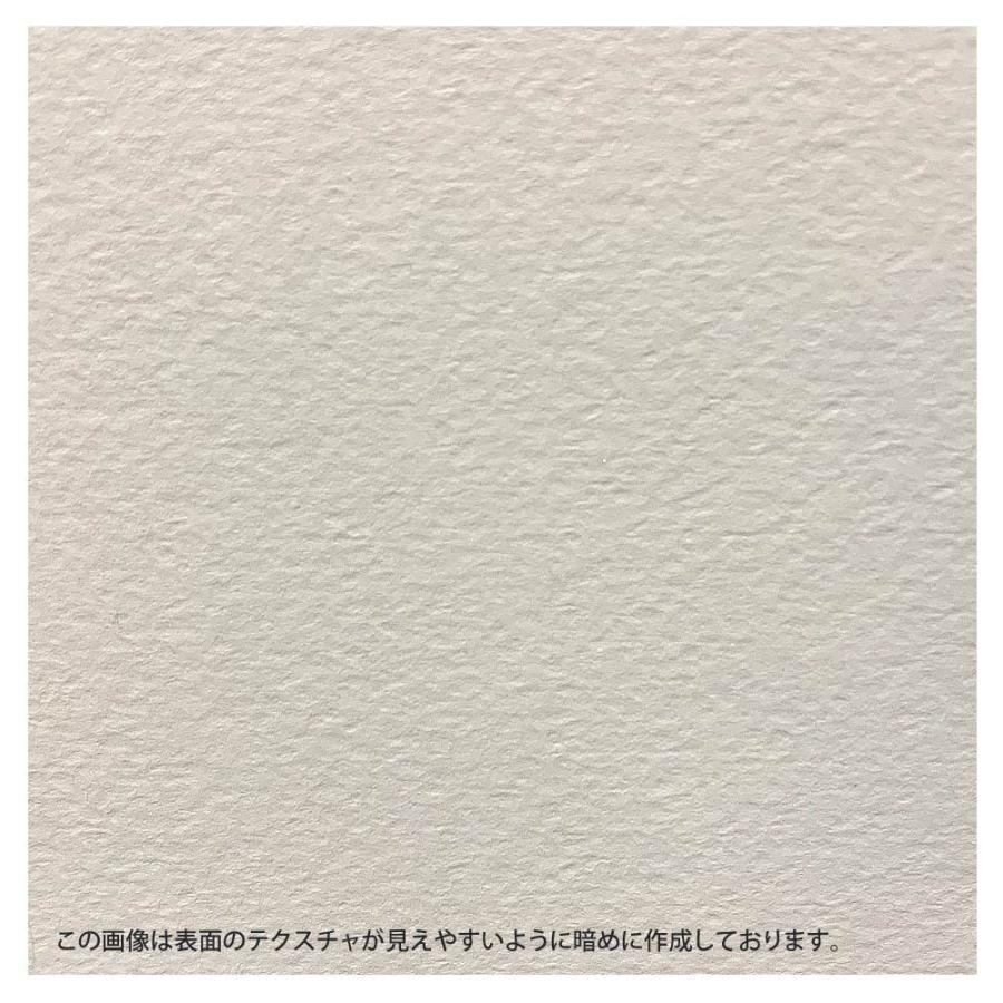 市場 ネコポス配送可 アルビレオ水彩紙 ホルベイン