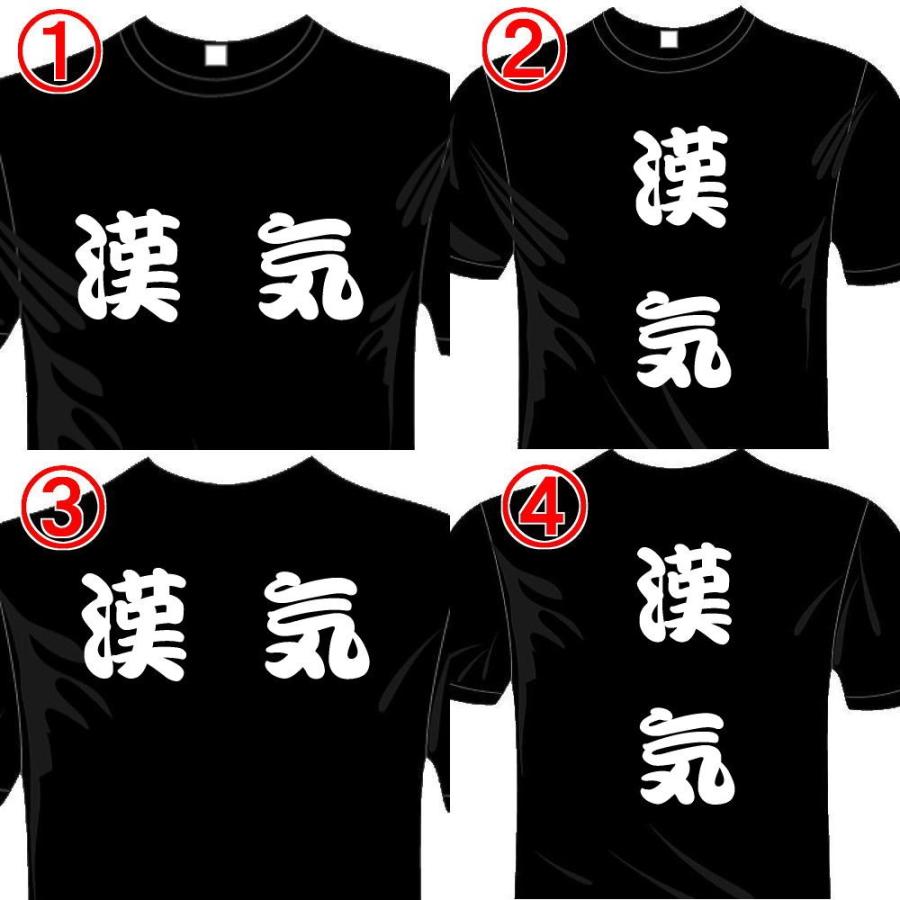 漢字おもしろTシャツ (5×6色) 漢気Tシャツ ユニークなメッセージてぃ