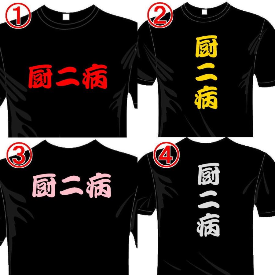 漢字おもしろTシャツ (5×6色) 厨二病Tシャツ ユニークなメッセージてぃ