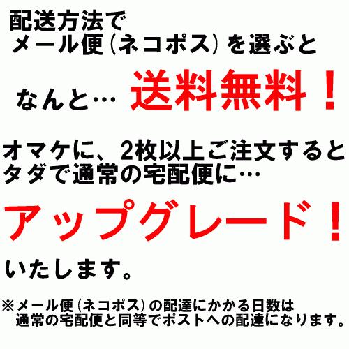 おもしろTシャツ (5×6色) 攻撃力全振りTシャツ  メール便は送料無料 河内國製作所｜kawachinokuni-s｜06