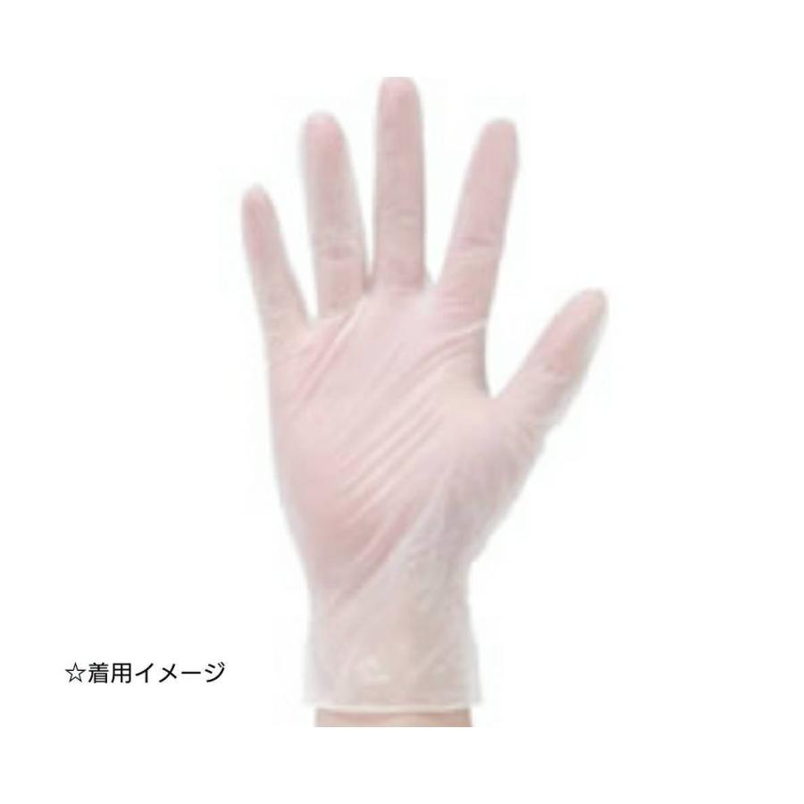 フジ スーパープラスチックグローブ粉なし Lサイズ 100枚入