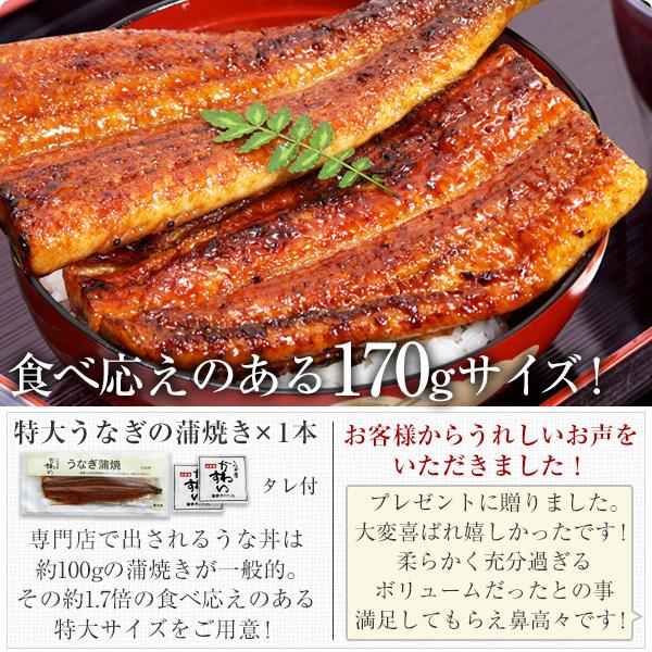 ギフト うなぎ 蒲焼き 国産 特大うなぎ1尾と蒲焼きカット2枚 ウナギ 鰻 蒲焼 誕生日｜kawaguchisuisan｜04