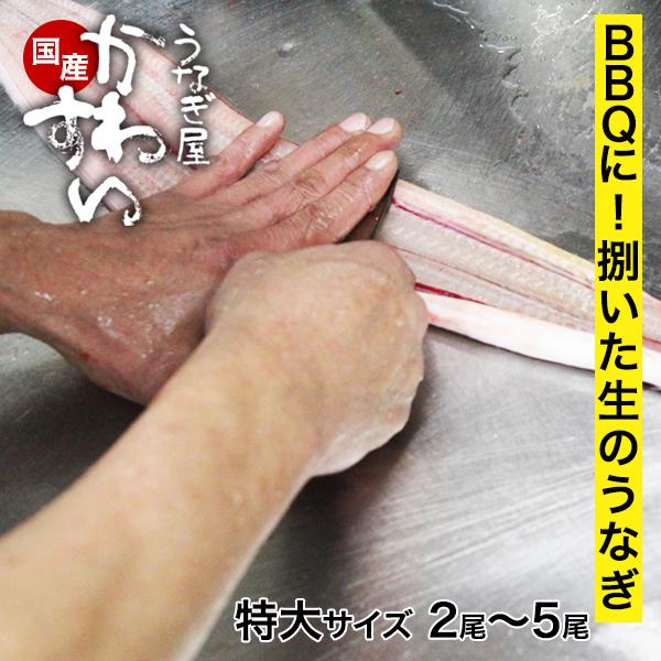 Road to FIRE | ジェイグループホールディングス（3063）の株主優待を利用しました