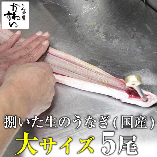 生のうなぎ 捌いた国産うなぎ 大サイズ 5尾 うなぎ屋かわすい 開き ひらき 鰻 業務用 BBQ 土用丑 爆買 の商品画像