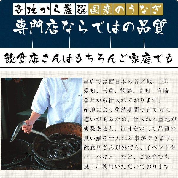 生きたうなぎ 中サイズ5尾 5p1kg 鰻 活鰻 業務用 活ウナギ｜kawaguchisuisan｜02