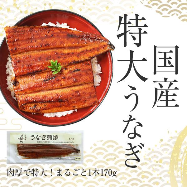 うなぎ 蒲焼き 国産 特大サイズ170g 3尾 ウナギ 鰻 送料無料 ギフト