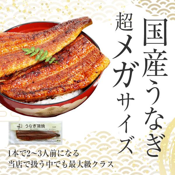 限定300本 超メガサイズ 国産 うなぎ 蒲焼き 250g×1本 セール｜kawaguchisuisan｜02