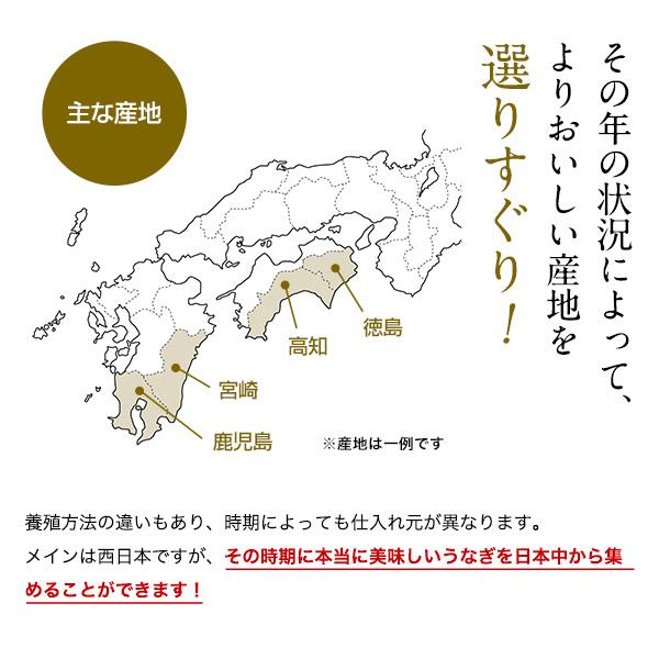 うなぎ 蒲焼き 国産 きざみ 10食 ひつまぶし ウナギ 鰻 送料無料 父の日｜kawaguchisuisan｜10