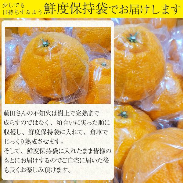 うなぎ屋かわすい 収穫次第順次発送 不知火 しらぬい 5kg 有田市 うなぎ屋かわすい 収穫次第順次発送 不知火 しらぬい 5kg 有田市