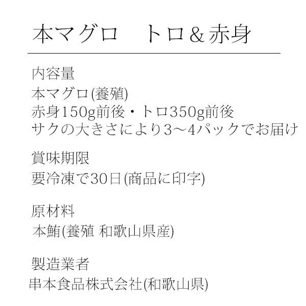 本マグロ トロ 赤身セット500g 紀州串本産 養殖 まぐろ 鮪 刺身 柵 冷凍 送料無料 本まぐろ｜kawaguchisuisan｜14