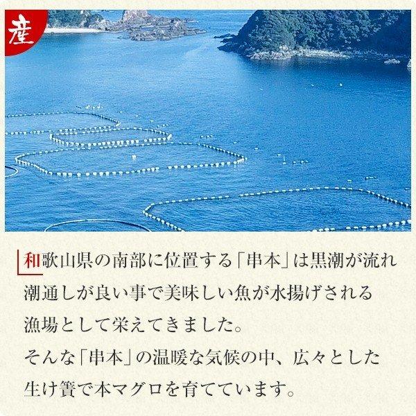 本マグロ トロ 赤身セット500g 紀州串本産 養殖 まぐろ 鮪 刺身 柵 冷凍 送料無料 本まぐろ