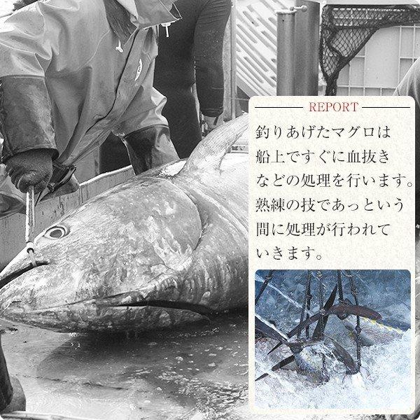 本マグロ トロ 赤身セット500g 紀州串本産 養殖 まぐろ 鮪 刺身 柵 冷凍 送料無料 本まぐろ