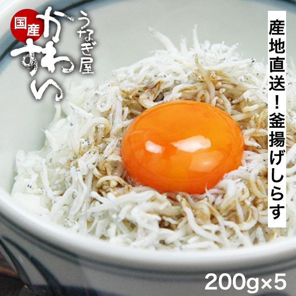 うなぎ屋かわすい 釜揚げ しらす 国産 冷凍 200g 5パック 小分け