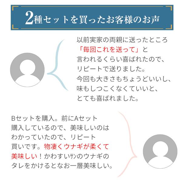 父の日 母の日 ギフト うなぎ 蒲焼き 国産 ウナギ 選べる2種 鰻 蒲焼 ギフト 内祝  誕生日 早割｜kawaguchisuisan｜09