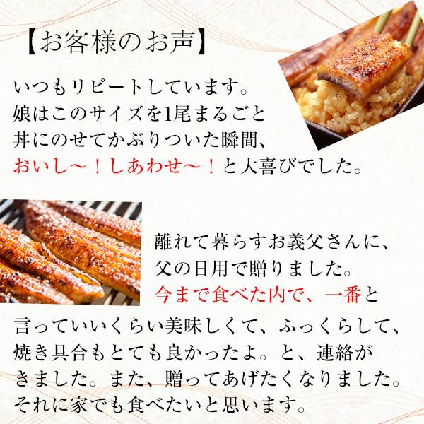毎週更新 5尾セット 国産 うなぎ 蒲焼き 120g 鰻 ギフト 蒲焼 うなぎ蒲焼 送料無料 materialworldblog.com 毎週更新 5尾セット 国産 うなぎ 蒲焼き 120g 鰻 ギフト 蒲焼 うなぎ蒲焼 送料無料 materialworldblog.com
