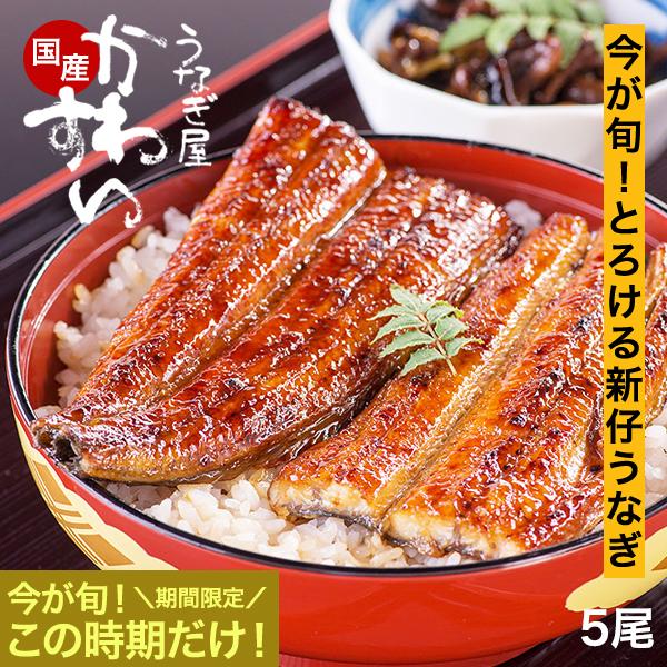 早割キャンペーン 新仔 うなぎ 蒲焼き 国産 大サイズ150g 5尾 うなぎ屋かわすい ウナギ 鰻 秋グルメ 誕生日 プレゼント ギフト 冷凍 食べ物 旬 送料無料 の商品画像