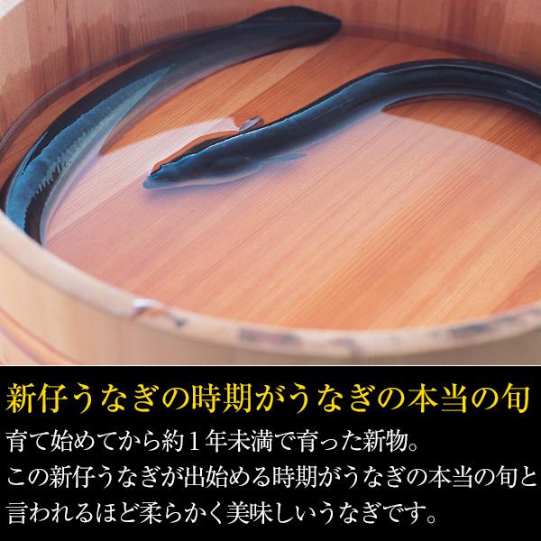 10/31(火)13:59までの販売 新仔 うなぎ 蒲焼き 国産 特大サイズ170g 2尾 ウナギ 鰻 送料無料｜kawaguchisuisan｜02