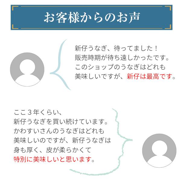 10/31(火)13:59までの販売 新仔 うなぎ 蒲焼き 国産 特大サイズ170g 3尾 ウナギ 鰻 送料無料｜kawaguchisuisan｜06