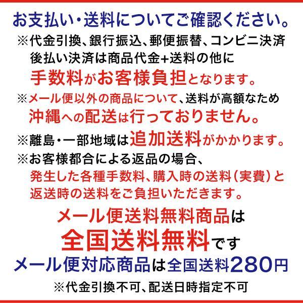 ノースフェイス アウトドア ウェア レディース ショートスリーブビッグロゴティー NTW32356 メール便送料無料｜kawaisports｜07