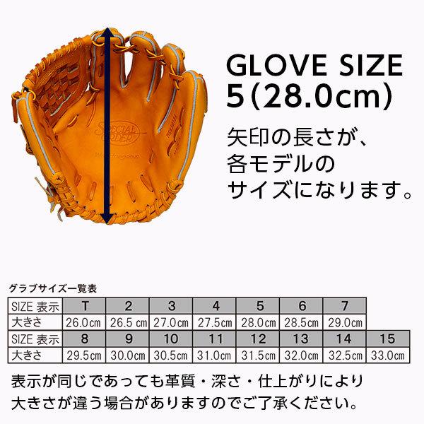 ワールドペガサス　硬式野球グローブ 　袋付き WEACGB｜ワールドペガサスジャパン株式会社