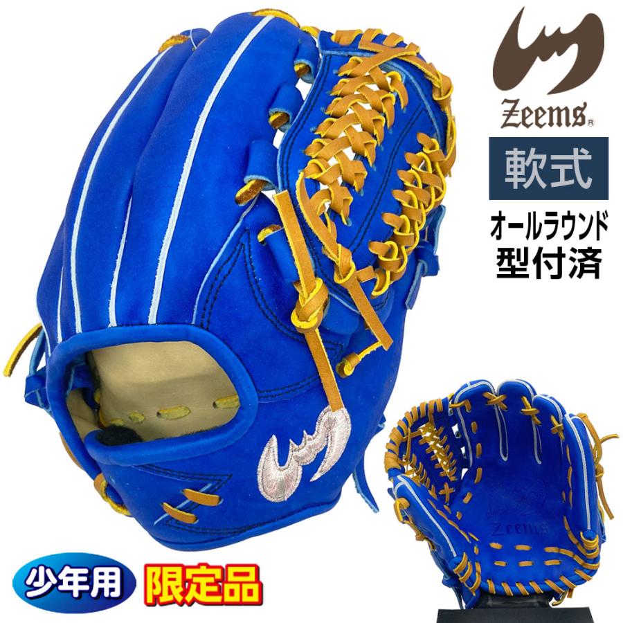 Zeems 軟式用グローブ　16DJN5 Zeems（ジームス） 軟式 ジュニア グローブ 少年用 オールラウンド
