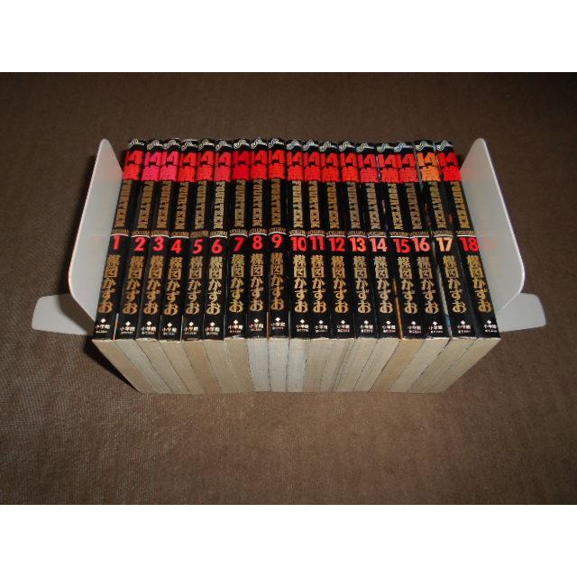 14歳 FOURTEEN フォーティーン 全20巻 （19.20巻無し） 楳図かずお 非