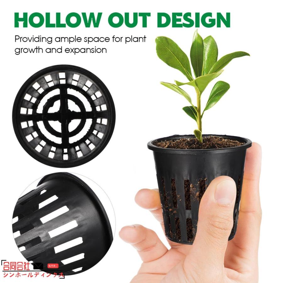 ［確認用］水生植物　苗 チャーム（ペット） （ビオトープ）水生植物 ミズトクサ（1