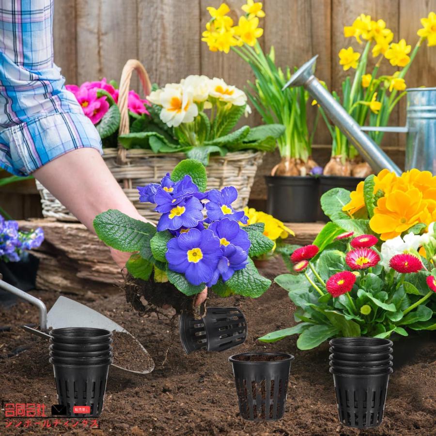 旬*。様 2025実生苗セットe 4センチポット こんばんは。 寄せ植えにいかがですか？ 2号ポット苗 桃太郎×5