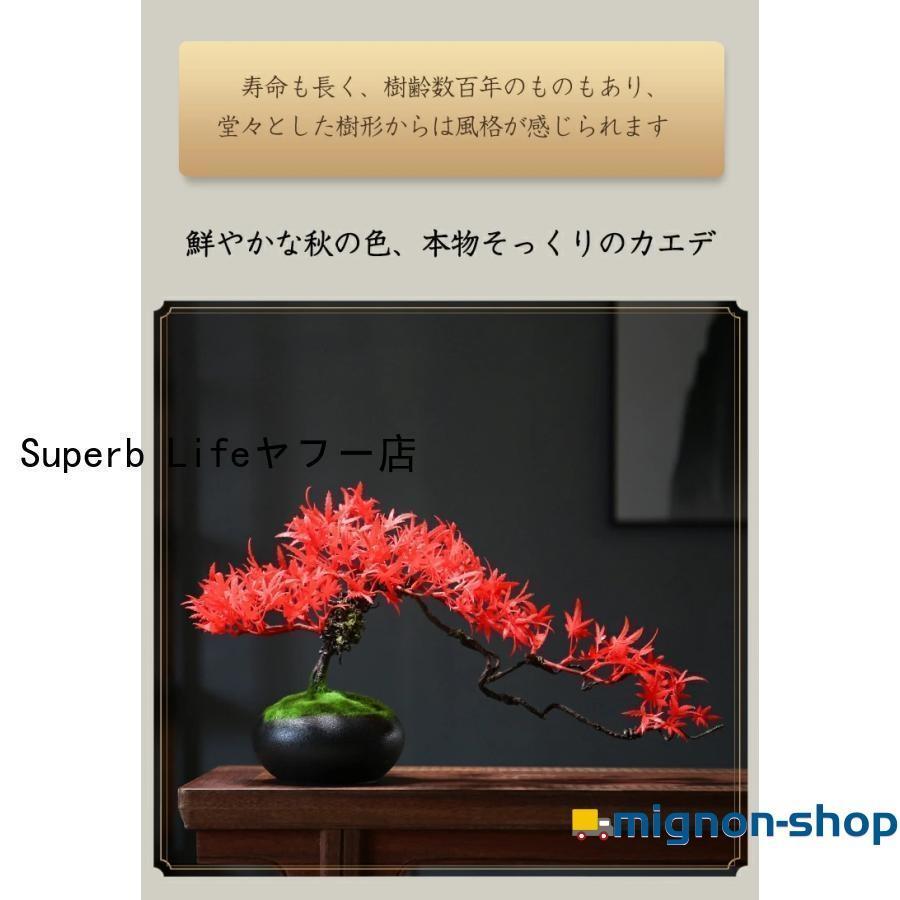 人工樹木 盆栽 松 人工 松の木 もみじ 人工紅葉 カエデ 現代風
