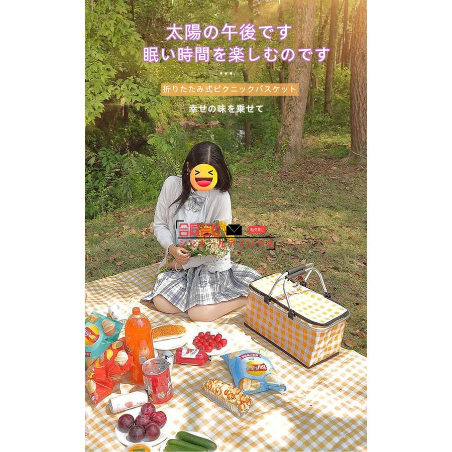 最安値　ピクニックバスケット ピクニックバスケット ちどり産業 ピクニックバスケット 保冷
