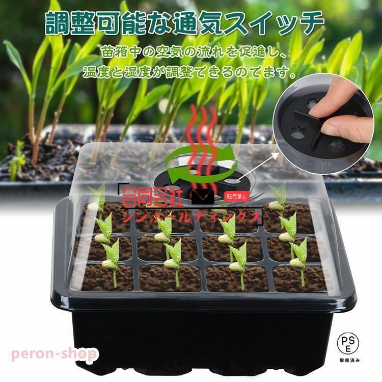 ナッシー出品❗マムシグサ苗他12苗お届けいたします。 ナッシー出品❗マムシグサ苗他12苗お届けいたします。 ナッシー