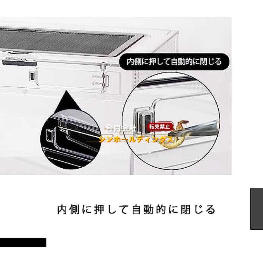 爬虫類ケージ 飼育容器 トカゲ ケージ 20cm 30cm 40cm 50cm アクリル