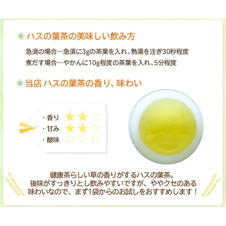 ハスの葉茶 40ｇ 3袋 国産健康茶 徳島県産 ノンカフェイン カフェインレス Hasu40x3 創業明治年間 川本屋茶舗 お茶 ギフト 通販 Yahoo ショッピング