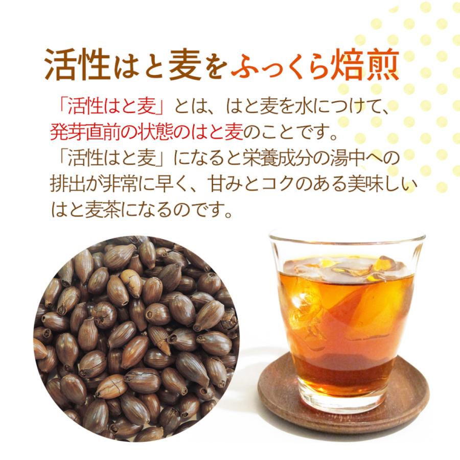 国産 ハトムギ茶 はと麦茶 ノンカフェイン 健康茶 はとむぎ はと麦 無