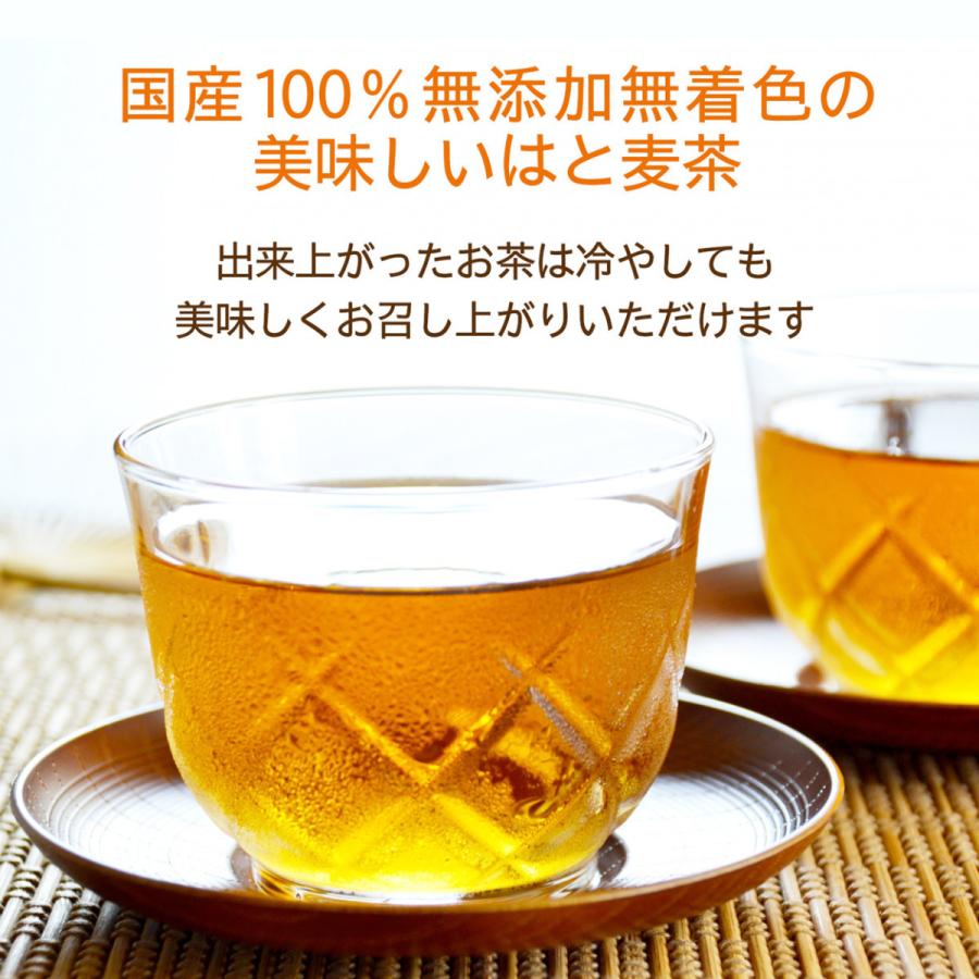 無条件 特別価格 はと麦茶ティーバッグ 6ｇ 24ｐ 10袋 からだにやさしいノンカフェイン 妊婦さん 授乳期ママに大人気 国産はと麦 健康茶 在庫処分特価 Suryaebusinesssolutions Com