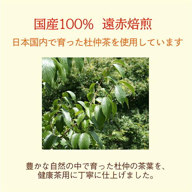 杜仲茶 ティーバッグ ティーパック とちゅう茶 国産 濃厚 (3g×15p) 6袋セット｜kawamotoya｜02