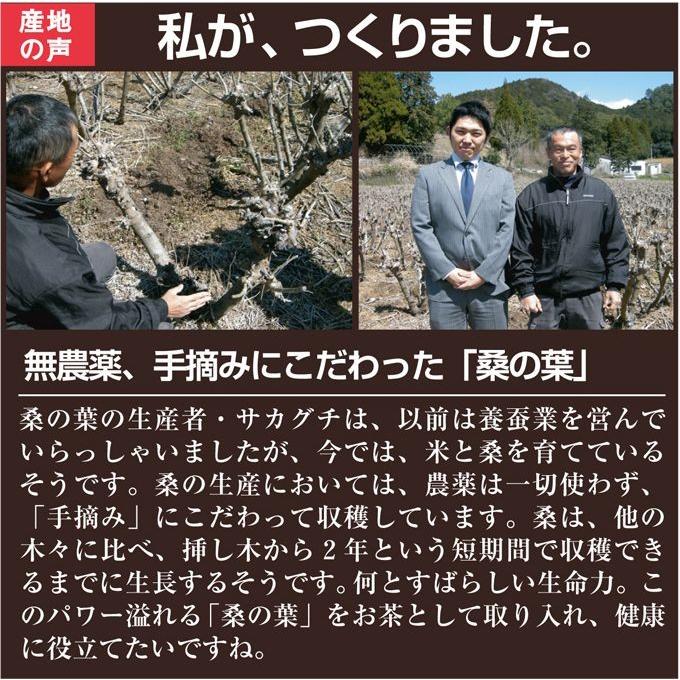 桑の葉茶 70ｇ 桑の葉 くわの葉 茶 Kuwa50 お茶の川本屋 胡麻麦茶 敬老の日 通販 Yahoo ショッピング