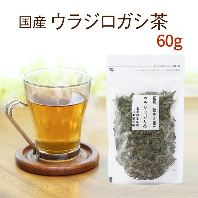 ウラジロガシ茶 60g うらじろがし茶 国産 : 川本屋茶舗 お茶 スイーツ