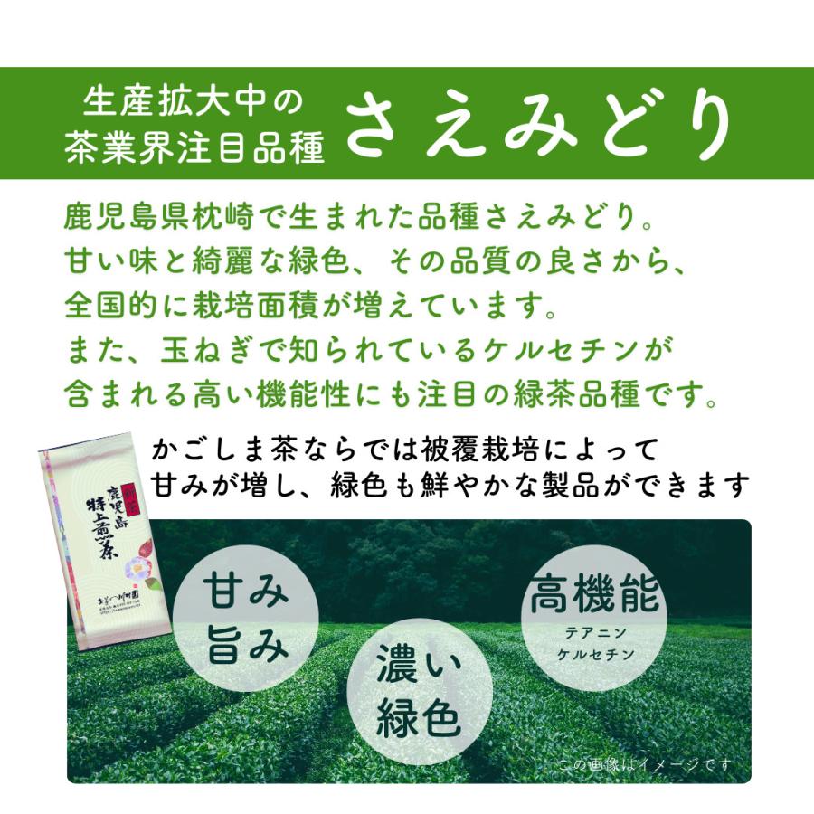 お茶 お茶の葉 知覧茶 鹿児島特上煎茶 100g さえみどり 深蒸し茶 水