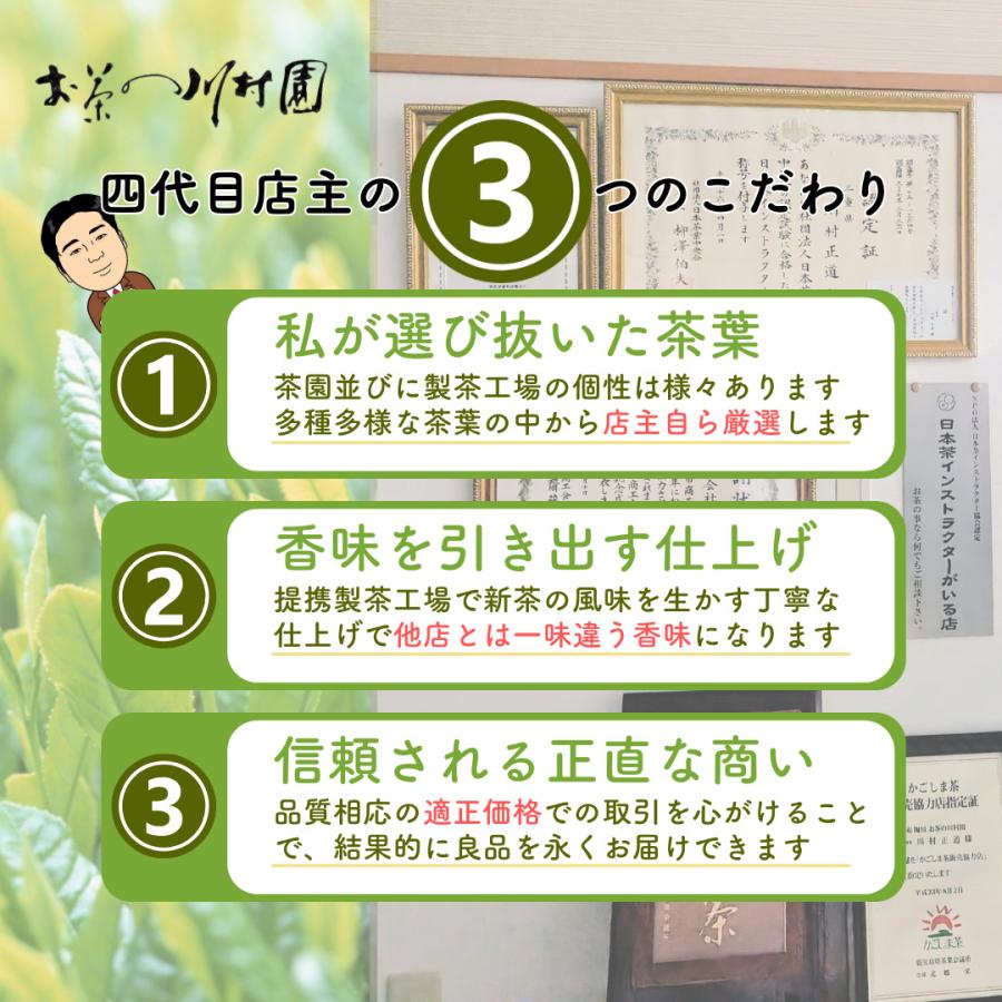 お茶 お茶の葉 知覧茶 鹿児島特上煎茶 100g さえみどり 深蒸し茶 水