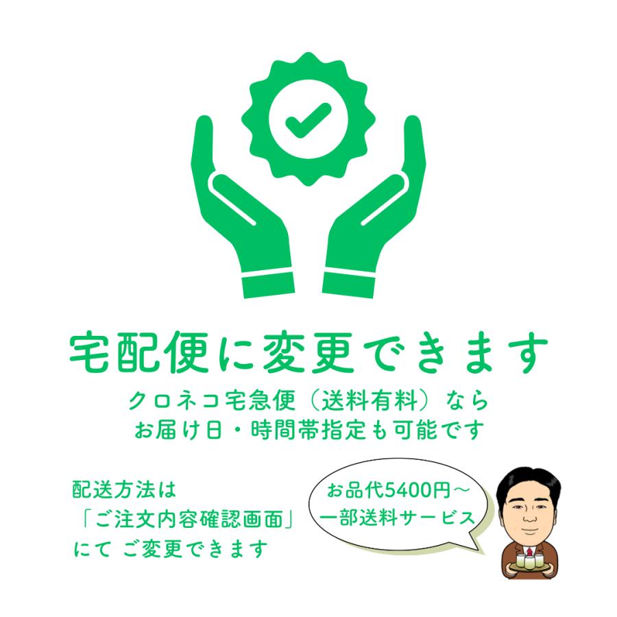 お茶 お茶の葉 知覧茶 鹿児島特上煎茶 100g さえみどり 深蒸し茶 2026