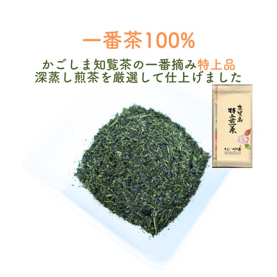 【専用】新茶☆煎茶35本+上煎+特上+特選+高級+上くき一番茶深蒸し緑茶お茶茶葉 お茶 お茶の葉 知覧茶 鹿児島特上煎茶 100g さえみどり 深蒸し茶 2026