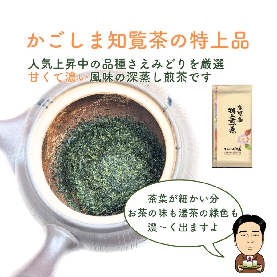 お茶 お茶の葉 知覧茶 鹿児島特上煎茶 100g さえみどり 深蒸し茶 水