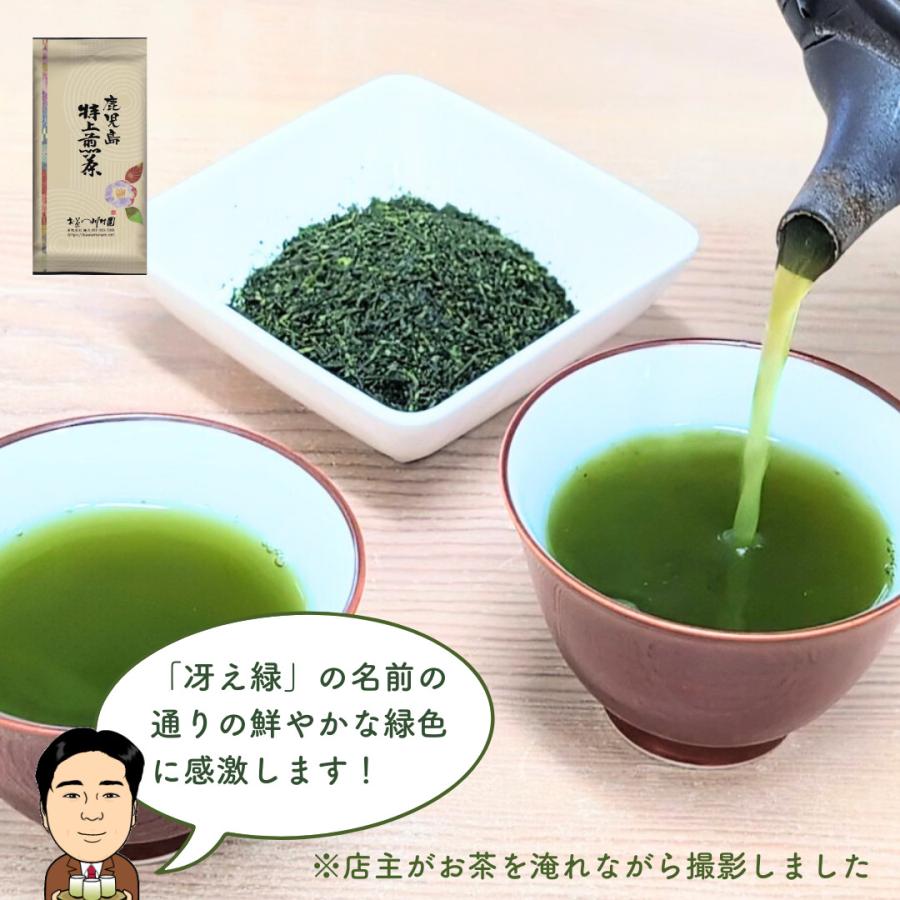 お茶 お茶の葉 知覧茶 鹿児島特上煎茶 100g さえみどり 深蒸し茶 2026
