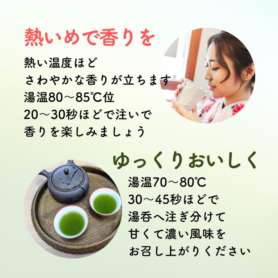 お茶 お茶の葉 知覧茶 鹿児島特上煎茶 100g さえみどり 深蒸し茶 2026